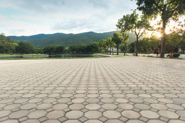 Best Commercial Driveway Pavers  in La Feria, TX